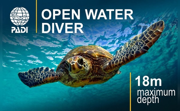 Начальный курс дайвинга Open Water Diver (OWD)