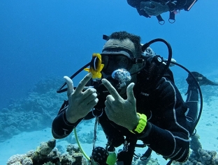 Что вы получите с Sharm Wave?